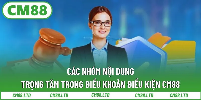 Các nhóm nội dung trọng tâm trong điều khoản điều kiện CM88