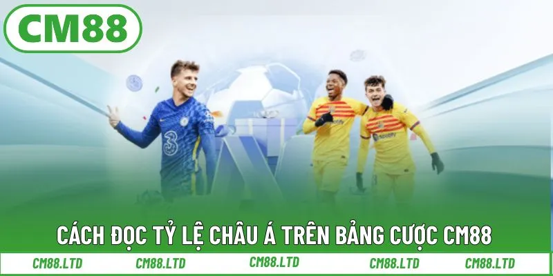 Cách đọc tỷ lệ châu Á trên bảng cược CM88