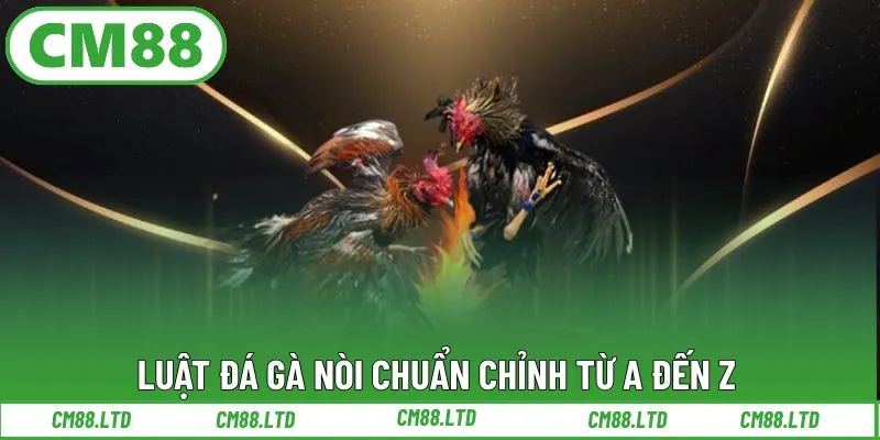 Luật đá gà nòi chuẩn chỉnh từ A đến Z